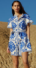 Luise Printed Shirt Mini Dress